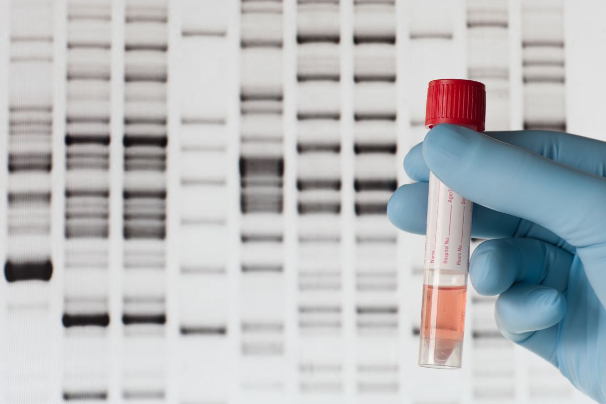 Best DNA Tests For Adoptees